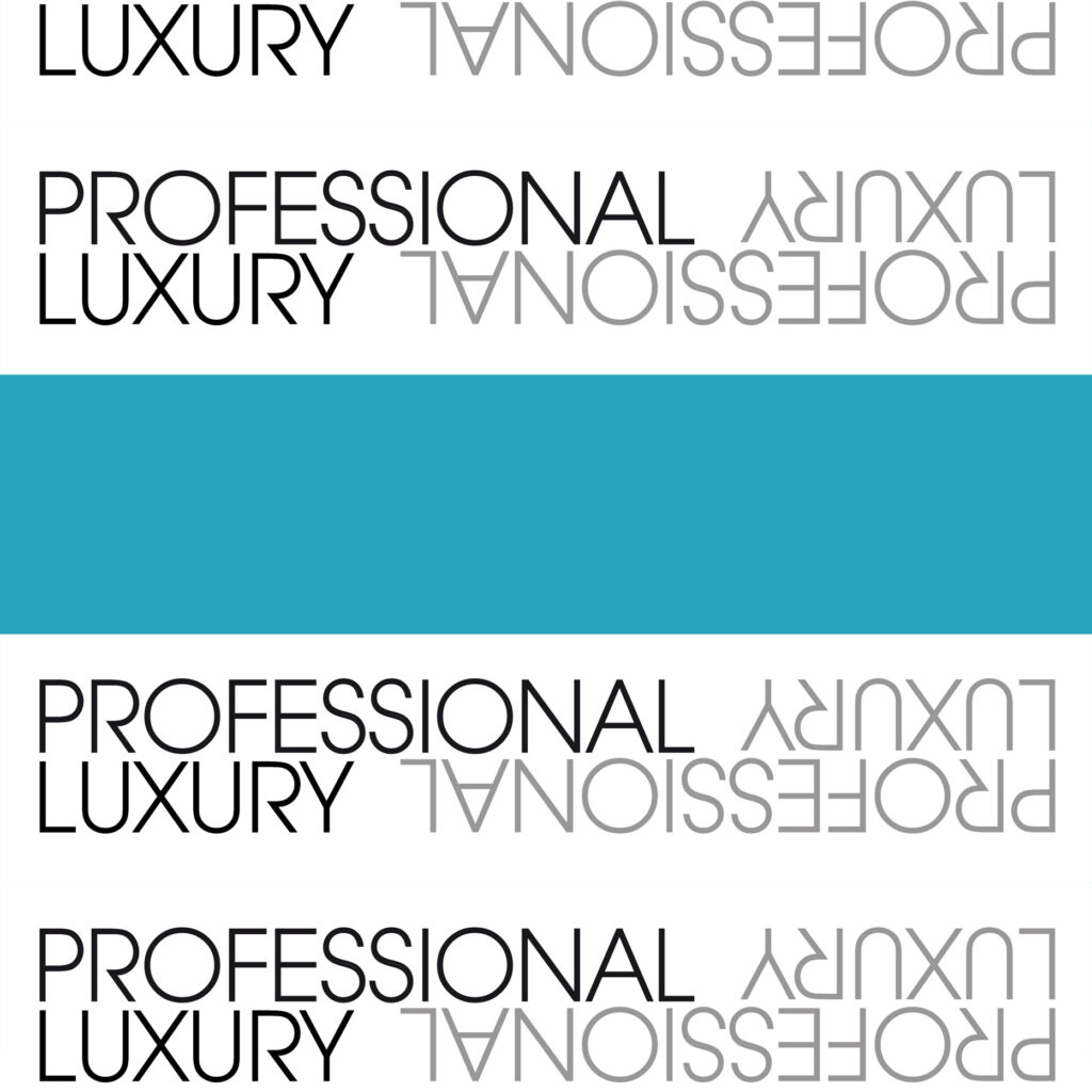 Logo Professional Luxury